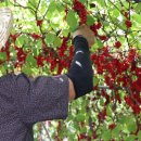 ㈜남원개발 이미지