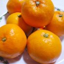 현승농장 이미지