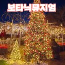 진해 보타닉 뮤지엄 크리스마스 후기｜아이랑 가볼만한 경남 야경 명소