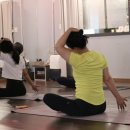 학하중앙로59번길(유성-95) | 대전 원데이클래스 운동 1월 더나무요가 무료 오픈 클래스 모집 안내