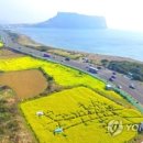 '성산 일출봉 보고, 조개도 잡고' 제1회 성산 조개바당 축제 이미지