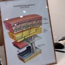 세븐일레븐 부천옥길퀸즈파크점 | 옥길윤곽관리 제이알테라피 후기, 수기관리는 여기다! 이중턱 정리하고 턱선 살린 날