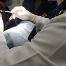 (주) 케어이즈 이미지