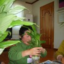 오룡경로당 이미지