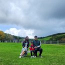 대관령밧데리 이미지