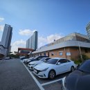 완주군 보건소 | 완주삼봉지구 삼삼호러페스타 축제 후기