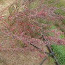 생물자원연구소 이미지