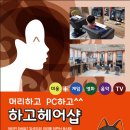 홍천헤어샵 네이버블로그