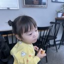 율이네놀이터 | [24개월 아기랑 일상] 담양 마을버스 여행 도전기 : 아이와 버스 타기 현실 후기 (자차의 소중함)