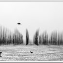 갯벌이야기 이미지