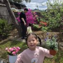 존중반 한다인 사랑반 한도현 미션완료 이미지