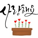 SKY.STAR.SEA 이미지