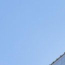 아산전병삼정형외과의원 이미지