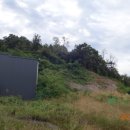 암소고개로 이미지