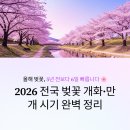 제주아그로 | 올해 벚꽃 5년 전보다 6일 빨라졌다 — 2026 지역별 개화·만개시기 총정리