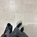 (주)더펫플레이스 | 1월 셋째주 겨울 데일리룩 | 기온별 옷차림 (공드린,오브에르,레이스,아르토,파베아)