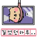안양김준동물병원 이미지