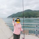 부산낚시 - 남해군 미송로 14 | 부산 가덕도 낚시 후기 낚시 포인트, 전갱이 낚시 🎣 여름 낚시
