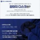 태안 동물병원 네이버블로그