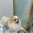 순천여자고등학교 이미지