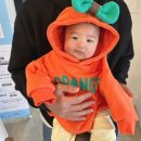 (주)삼일씨엔에스 | 아기와함께 야외정원이 있는 고창 들꽃카페수목원