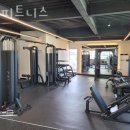 RB피트니스 이미지