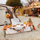 테이스트캠프 이미지