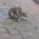 사랑이 넘치는 이미지