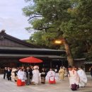 4월 22-25일 폭포수처럼 쏟아지는 등꽃 축제와 도쿄의 명승, 미술관 기행 이미지