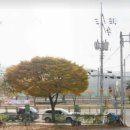 금오산로-3 이미지