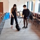 펫메이트(주) | 강아지 산책알바 펫시터 수익 구조 활동 시작 가이드