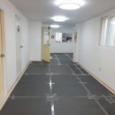 머뭄 애견유치원 이미지