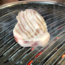 돼지수산 이미지