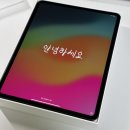 추천하지 않는 이유(+ 애플 공홈 구매, 기존 유저 기준 비교 후기, 애플 펜슬 프로, 펜슬 펜촉 구매)