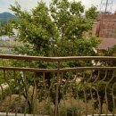 경기도 양평군 양수초등학교 이미지