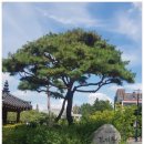 건지(geonji)