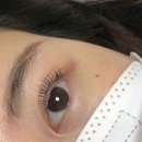 브로우무드(browmood) 이미지