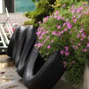 포도원식당 이미지