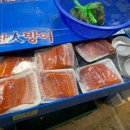노다지굴수산