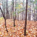 백석리 마을회관 이미지