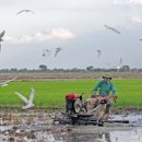 정미 축산 이미지