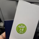 신평2동우체국 앞 교통섬2 내 | 홍콩 임산부 태교여행 5박 6일 일정 및 경비 (홍콩 익스프레스/디즈니랜드/피크트램)