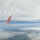 제주공항 도민 맛집 ㅣ효퇴국수국밥 쿸쿸제과 (+스누피 팝업)
