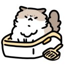 바니팰리스 이미지