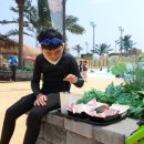 이브파크장 이미지