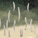 척삭동물 - 두색동물亞門 - 창고기目 - 창고기科 - 창고기 이미지