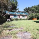 운정지산부동산공인중개사사무소 이미지