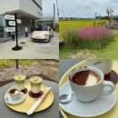 조남로 | [구미] 루쎄떼나미 | 핑크뮬리가 있는 선산 감성 카페 내돈내산