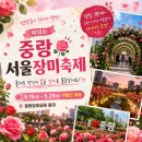 간선-23 | 2026 중랑서울장미축제 솔직후기🌹 주요행사·주차·버스·지하철 꿀팁까지