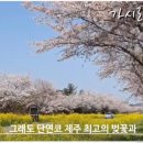 온천단지 가로수길 이미지